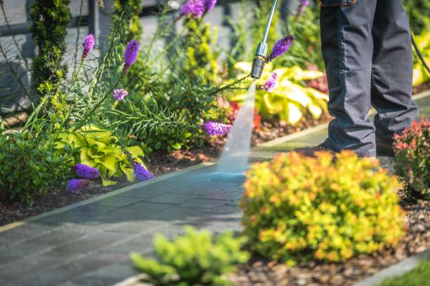 Trusted Fort Totten, ND Pressure Washing Services Experts